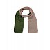  Cotton Twin Color Shaded  Stole